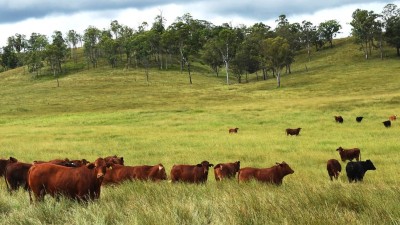 Brooklyn QLD