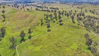 Ellwood NSW