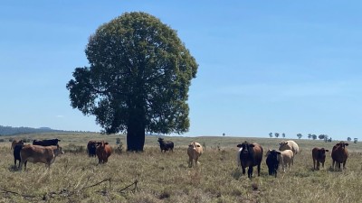 Kulumur QLD