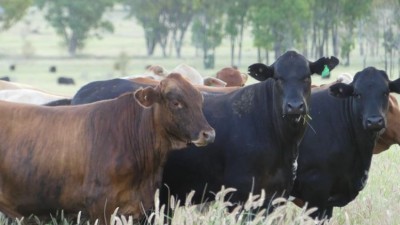 Larnook QLD