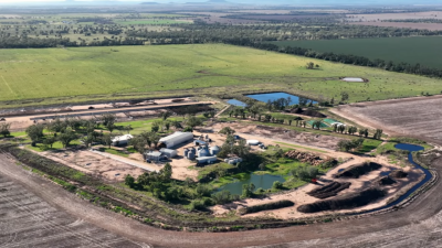Wilga Aggregation NSW