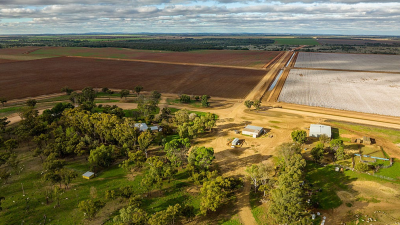HK Farming NSW
