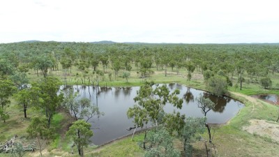 Rhonella Park QLD