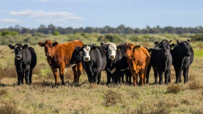 Rhyola & Inverness NSW