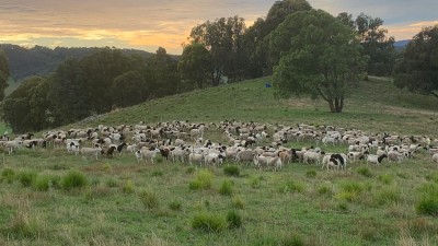 Khancoban NSW