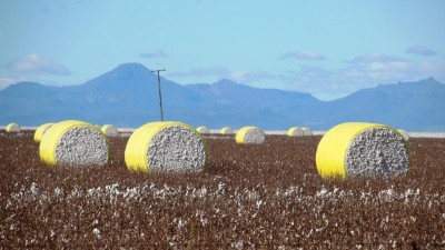 Milton Downs East NSW