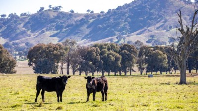 Bunnabukbuk NSW
