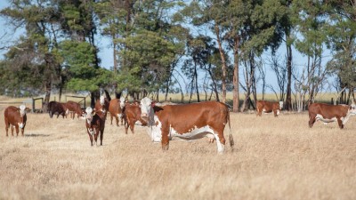 Chessington SA