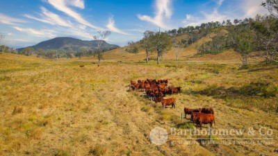 Rosemore QLD