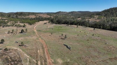 Gelobra QLD