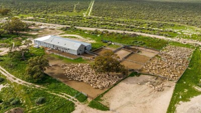 Glen Emu Station VIC