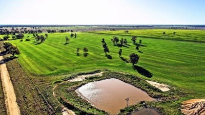 Hazelbrook & Bereena NSW