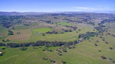 Montego & Moona NSW