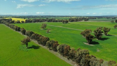Stirling Park NSW