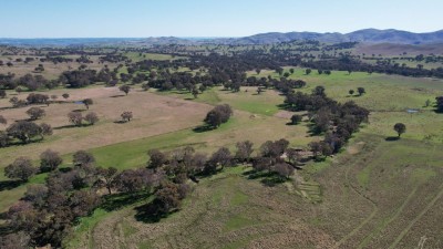 Talbragar NSW
