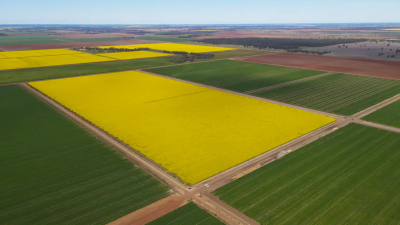 Point Farms Aggregation NSW