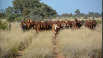 Fortuna Aggregation QLD