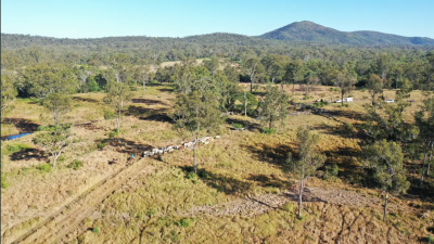 Moolyung QLD