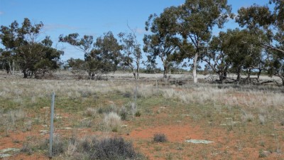 Part Romani NSW