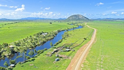 Footrot Flats QLD