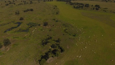 Theda-Glen & Buckeroo QLD