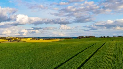 Cherylton Farms WA