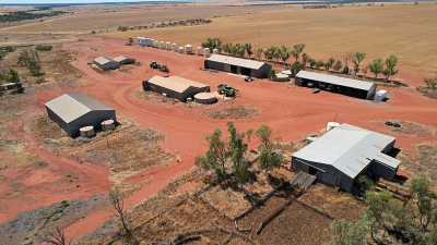 Daisy Downs WA