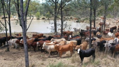 Attica QLD