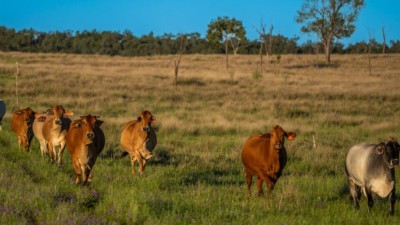 Auburn Station QLD