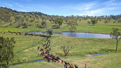 Hiawatha QLD