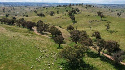 Coppa Canyon NSW