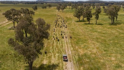 Gleneagles NSW
