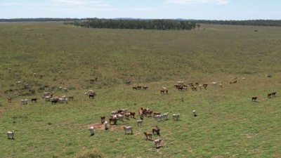 Rydan QLD