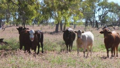 Strathavon QLD