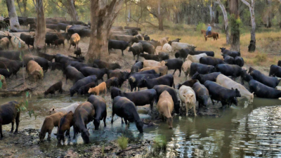 Gundagurra NSW