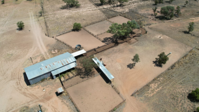 Tarwoona Downs NSW