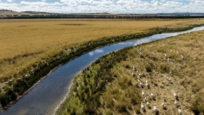 Wallaroobie NSW