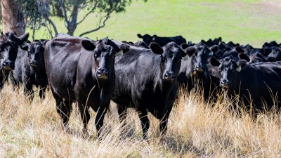Gilgal NSW
