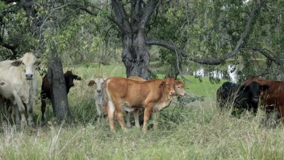 Lochaber QLD