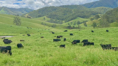 Pee Dee Creek NSW