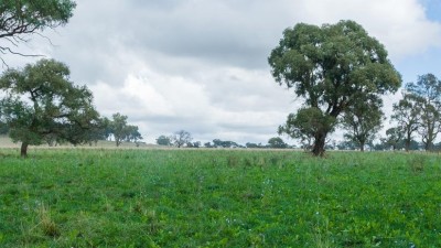 Strathaven NSW