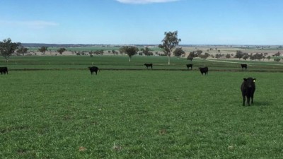 Burmah Station NSW
