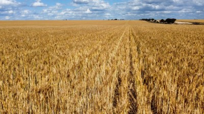 Cheriton Farm WA