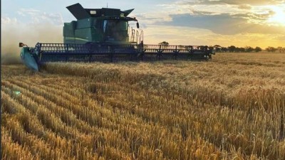 Fairholme Aggregation NSW