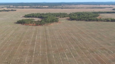 Karinya NSW