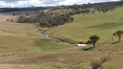 Messines NSW