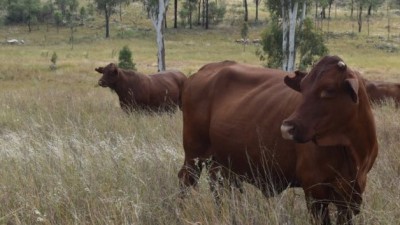 Rockdale and Ten Mile Aggregation QLD