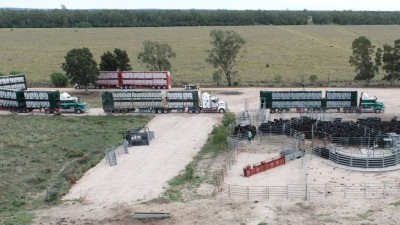 Warratoo QLD