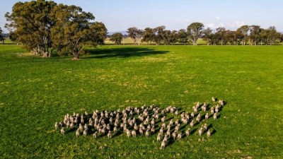 Castle Creek VIC