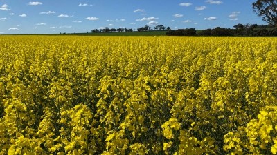 Wagabawering Spring WA